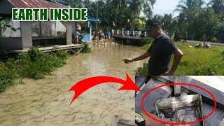 Warga Di Hebohkan Dengan Kemunculan IKAN MISTERIUS..!! Ternyata...