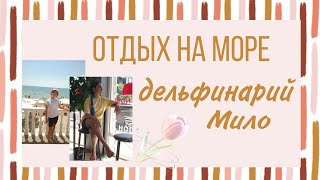 Море 👉 милые морские котики 👉 3 день 🐰