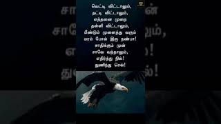 தமிழ் இலக்கிய கவிதைகள்💯 #shorts #ytshorts #trending #motivation #quotes #shortvideo #inspiration