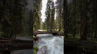 #youtubeshorts #nature #travel #mountains #youtube #camping #kashmir #trending #shorts #beautiful