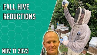 Fall Hive Reductions - Jacksonville FL Zone 9a