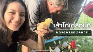 เล้าไก่เคลื่อนที่ได้ | Udon Organic Farm