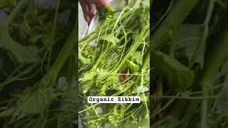 Organic Sikkim