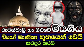 රුවන්වැලි සෑ මළුවේ  මියගිය  බිසෝ  මැණිකා  භූතයෙක් වෙයි | A mysterious event in Ruwanweli Mahasai