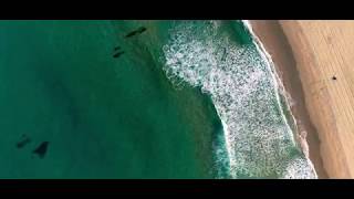 Dolphins Spotting at Palm Beach via Aerial Drone 4k