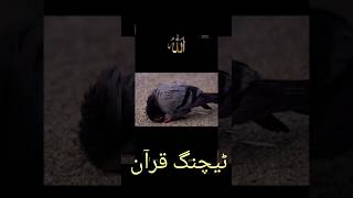 Surah Al baqarah urdu translation  #youtubeshorts #1millionviews #ytshort #quran