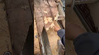 Roofing Inspection: Wood Repair #contracter #roofing #thegeneralcontractor