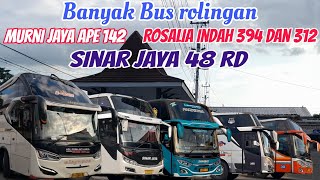 Minggu Sore Ramai Bus Rolingan Dari Sinar Jaya, Murni Jaya Dan Rosalia Indah‼️