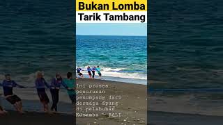 Ini bukan lomba “Tarik Tambang” ya guys 😀 #shorts #bali #funny #love #live #like #shortvideo