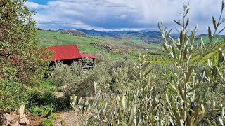 AQ1309 outside - Cortijo Maza, country house near Valle de Abdalajis, inland Malaga -