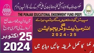 PEEF Scholarship 2024|PEEF Scholarship Admission Apply Online|Punjab Education