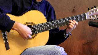 Danza - Mauro Giuliani on Classical Guitar