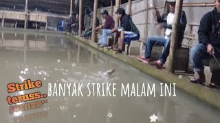 Strike terus guys..!!! Mancing kolam harian #arisanmancing #lele  #strike  @AndreBandungan