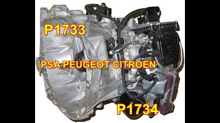 P1733 P1734 PSA PEUGEOT CITROEN