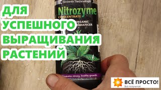 Морозостойкие грецкие орехи🌱Проращивание.Чудо-препарат НИТРОЗИМ! С НОВЫМ 2022 ГОДОМ!🎄✨🎉