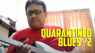 Quarantined Blues Guitar 2 | David Togatorop