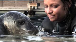 Réouverture du Seaquarium!