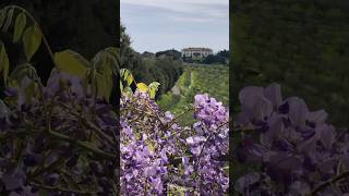 Tenuta di Artimino Tuscany Italy 2024