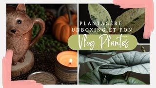 VLOG l Enfin ma Plantagère! + Unboxing et PON