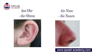 Learn German - Lesson 14.1 - The body parts