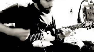 And End - Paeonia Cover Guitar