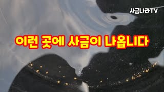 이런 곳에 사금이 나옵니다