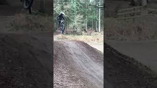 Mtb whip