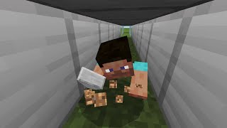 (1.16) How To Crawl In Minecraft Bedrock!