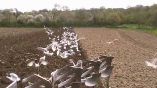 Valtra ploughing