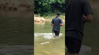 Fishing #traditional #catchingfish #fishingvideo