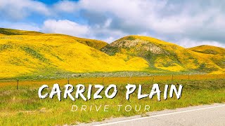 Colorful Drive Through Carrizo Plain and Along HWY 58