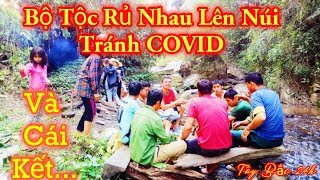 Cả Bản Rủ Nhau Vào Rừng Tránh COVID Và Cái Kết.... |×| Tây Bắc 24h.