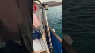 Fishing for Seabream. Ψαρεμα για Κακαρελοι.