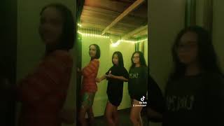 My Hump Remix Tiktok Dance