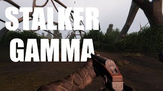 Stalker GAMMA EP1