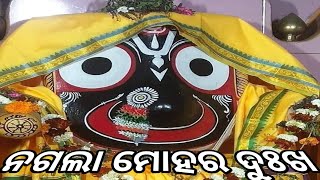 ନଗଲା ମୋହର ଦୁଃଖ #pleasesubscribe #odia #odiadivotionalbhajan #viralvideo #bestodiabhajan