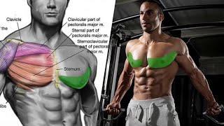 Chest variation for lower chest#chest #chestexercises #chestworkout #chesterchurch #youtube #youtube