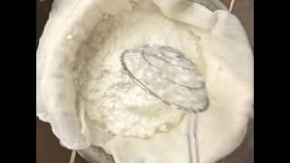 DIY Ricotta Cheese J