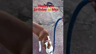 Happy 1st birthday max🥺🥺👏