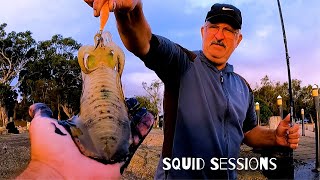 Catching Squid at Amity Point! And How To Dispatch and Clean session, with Zykas Kitchen