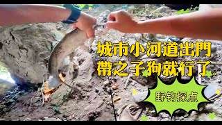 【野钓实战】水面系的季节！城市小河道出门带之子狗就行了。 #野钓探点 #户外钓鱼 #路亚野钓