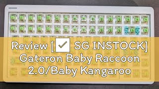 Review [✅ SG INSTOCK] Gateron Baby Raccoon 2.0/Baby Kangaroo Switches LUBE & FILM Service Available