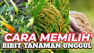 Cara sederhana memilih benih tanaman bermutu