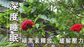 深度睡眠 ★ 褪黑素釋放，緩解壓力