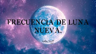 LUNA NUEVA. Nuevas posibilidades, nuevos comienzos para todos.