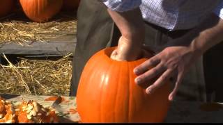 Where's Danny? - The Pumpkin Patch