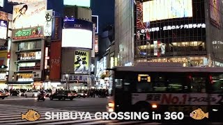 Shibuya Crossing in 360 || Samsung Gear 360