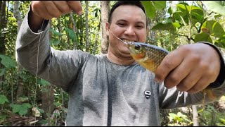 PESCARIA NO IGARAPÉ DO SÍTIO...PIAU NA LINHADA🎣