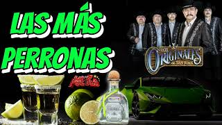 las más perronas ✴️los originales de san Juan