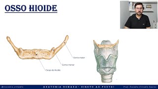 Osso hioide - Esqueleto axial - Sistema esquelético - Anatomia direto ao ponto!